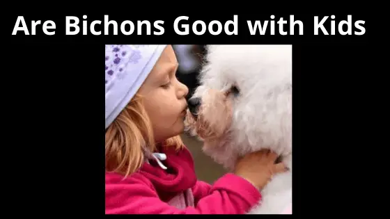 Are Bichon's Good With Children