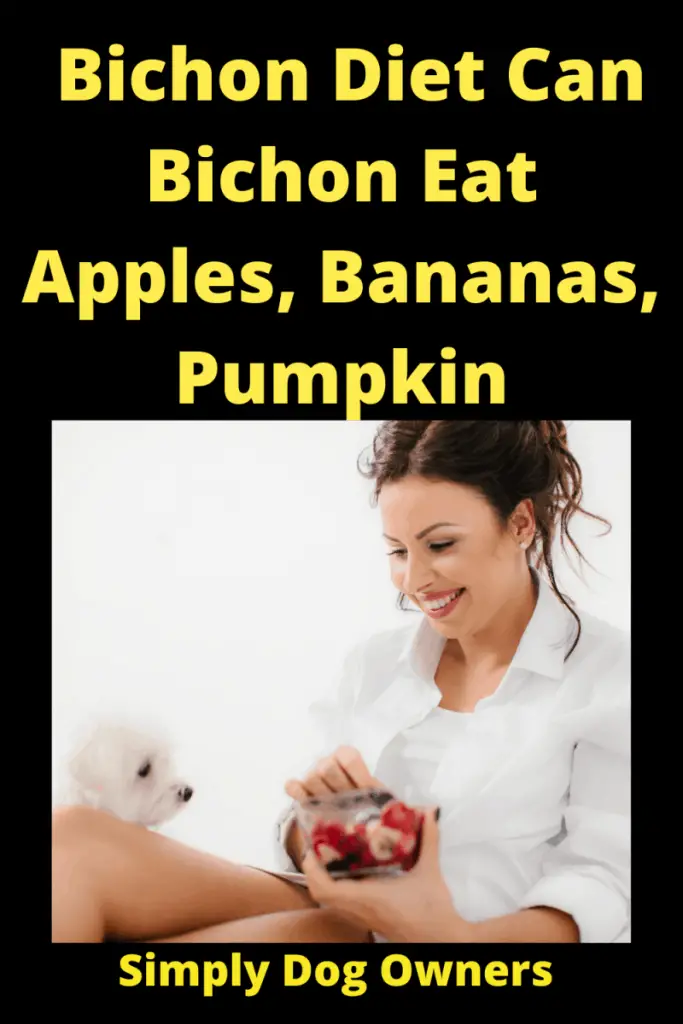 Bichon Diet Can Bichon Eat Apples, Bananas, Pumpkin 1