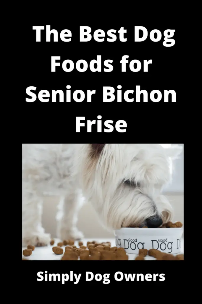 The Best Dog Foods for Senior Bichon Frise 1