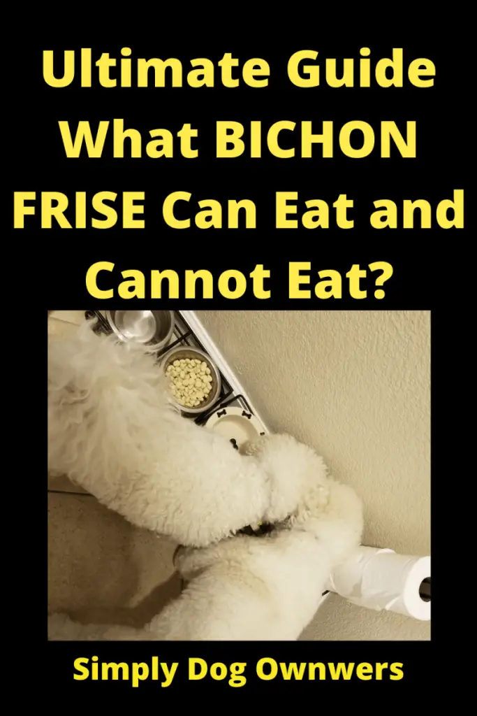 Ultimate Guide / What Bichon Frise Can Eat and Cannot Eat. 1