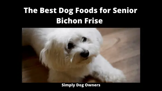 The Best Dog Foods for Senior Bichon Frise
